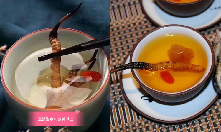 與枸杞同煮泡蟲草茶 與枸杞同煮泡蟲草茶