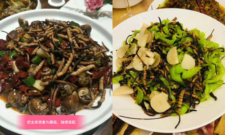 新鮮蟲草炒田螺 新鮮蟲草炒田螺