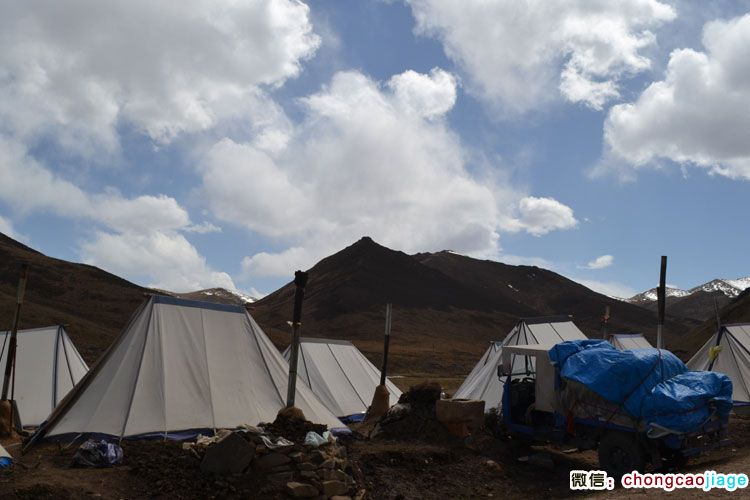 傍晚蟲草采集臨時帳篷 傍晚蟲草采集臨時帳篷