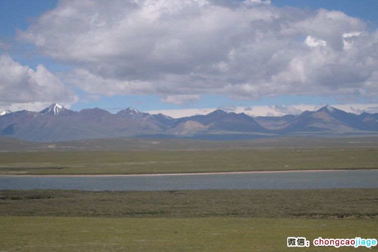 那曲縣的草原和河流圖片