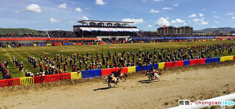 那曲賽馬場(chǎng)圖片