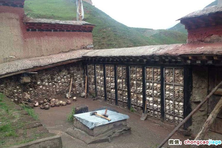 請輸入圖片描述 請輸入圖片描述