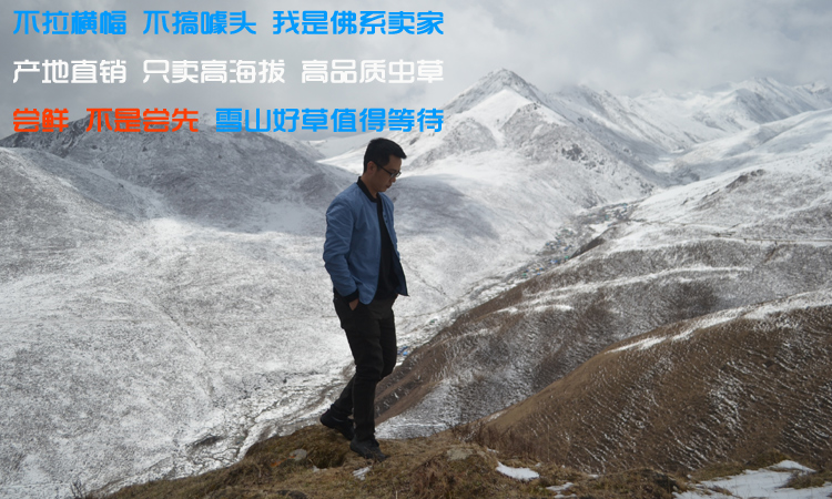 冬蟲夏草佛系賣家 冬蟲夏草佛系賣家