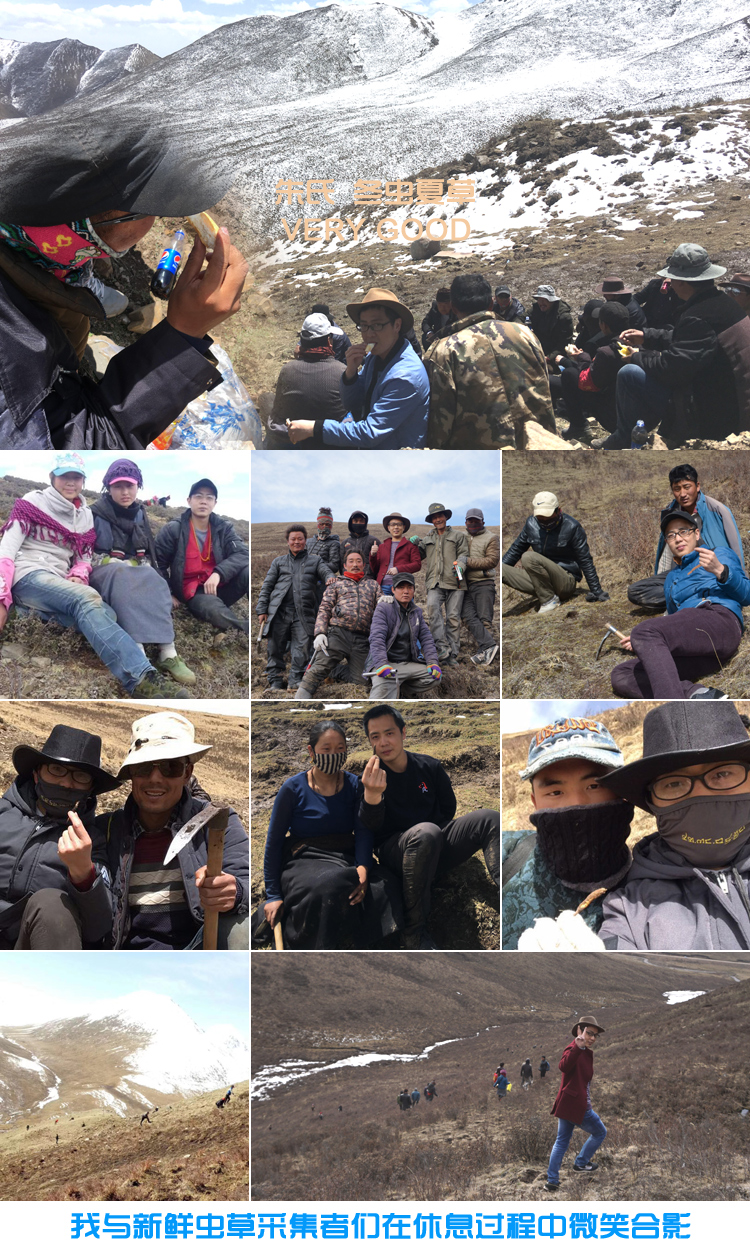 與冬蟲夏草采挖者合影 與冬蟲夏草采挖者合影