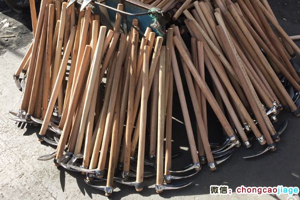 蟲草采挖工具小鋤頭圖片