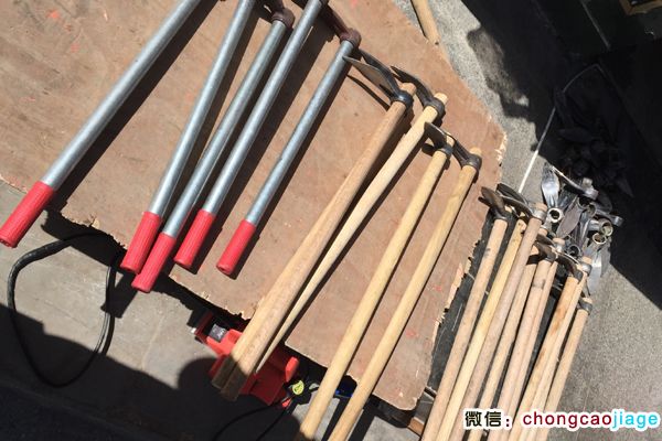 冬蟲夏草采挖工具圖片