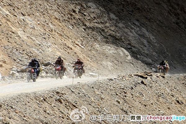 藏民騎摩托去采挖冬蟲(chóng)夏草 藏民騎摩托去采挖冬蟲(chóng)夏草