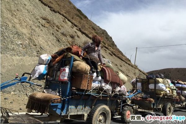 開(kāi)農(nóng)用拖拉機(jī)去采挖蟲(chóng)草 開(kāi)農(nóng)用拖拉機(jī)去采挖蟲(chóng)草