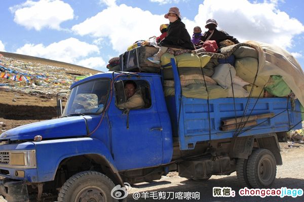 開(kāi)卡車(chē)去采挖冬蟲(chóng)夏草 開(kāi)卡車(chē)去采挖冬蟲(chóng)夏草