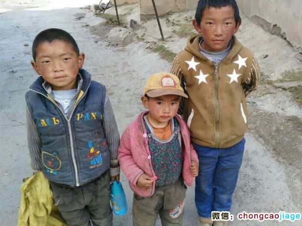 蟲草采挖地的藏族小孩圖片 蟲草采挖地的藏族小孩圖片