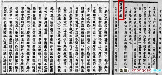 本草綱目拾遺冬蟲(chóng)夏草原文圖片 本草綱目拾遺冬蟲(chóng)夏草原文圖片