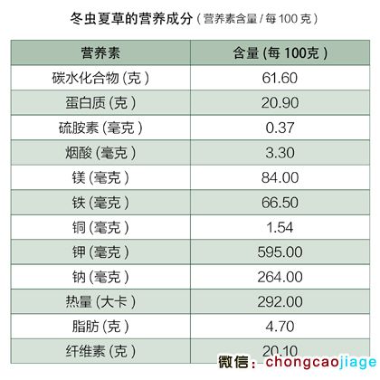 冬蟲(chóng)夏草的營(yíng)養(yǎng)成分 冬蟲(chóng)夏草的營(yíng)養(yǎng)成分