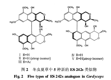冬蟲(chóng)夏草中5種新的ES-242s類似物 冬蟲(chóng)夏草中5種新的ES-242s類似物