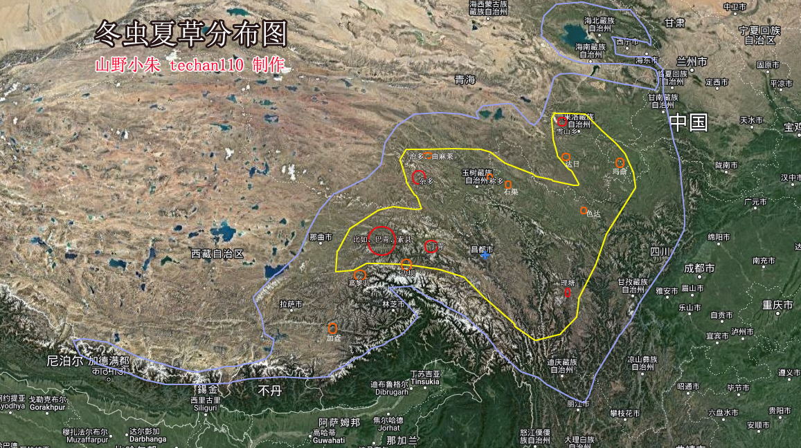 冬蟲夏草分布圖 冬蟲夏草分布圖