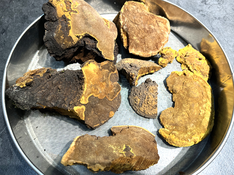 桑黃切塊來源圖片 桑黃切塊來源圖片