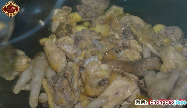 冬蟲夏草燉雞2翻炒雞肉 冬蟲夏草燉雞2翻炒雞肉