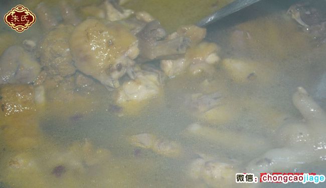 冬蟲夏草燉雞3高壓鍋燉雞 冬蟲夏草燉雞3高壓鍋燉雞