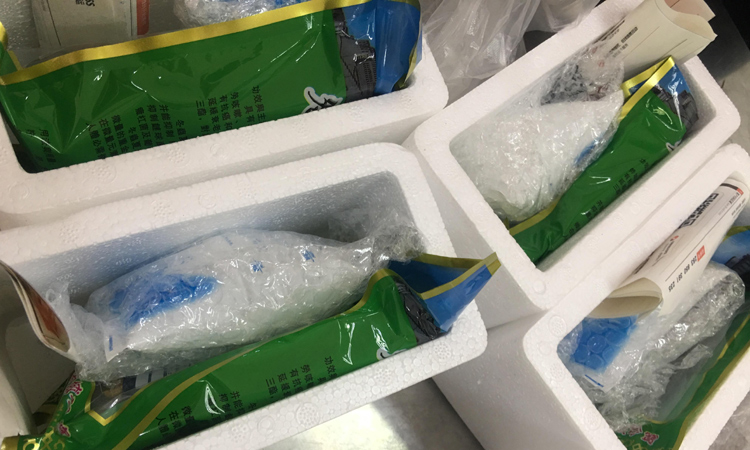 冬蟲夏草冰袋運輸 冬蟲夏草冰袋運輸