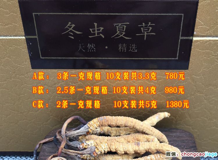 冬蟲夏草禮盒 冬蟲夏草禮盒