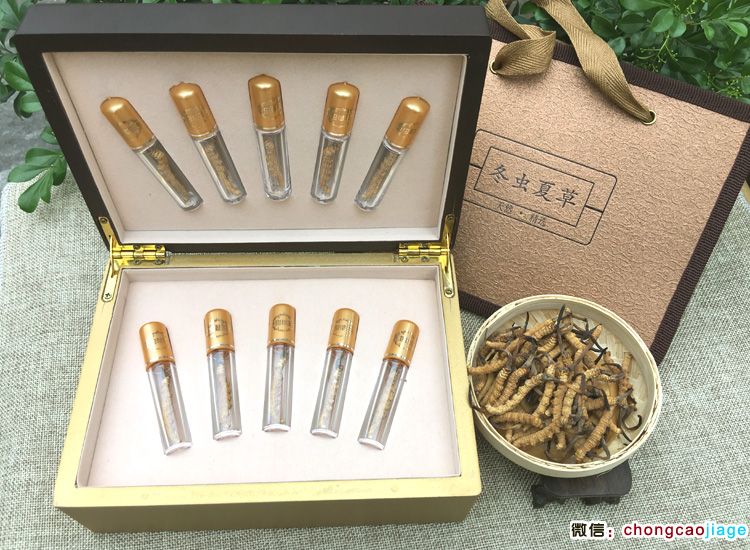 冬蟲夏草禮盒裝10支裝 冬蟲夏草禮盒裝10支裝