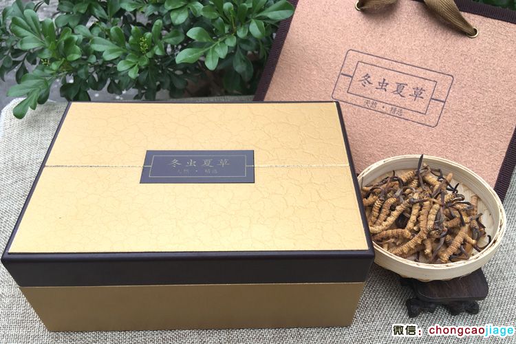 冬蟲夏草禮品盒裝 冬蟲夏草禮品盒裝