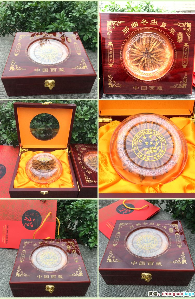 那曲冬蟲夏草禮盒裝20克圖片 那曲冬蟲夏草禮盒裝20克圖片