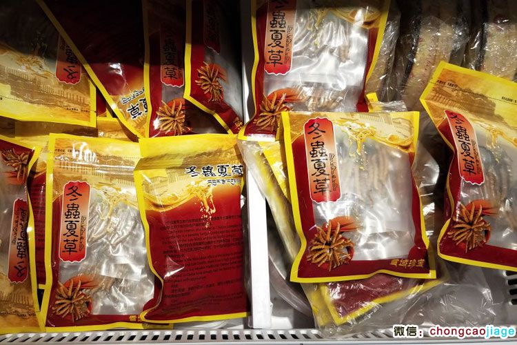 冬蟲(chóng)夏草中英文包裝