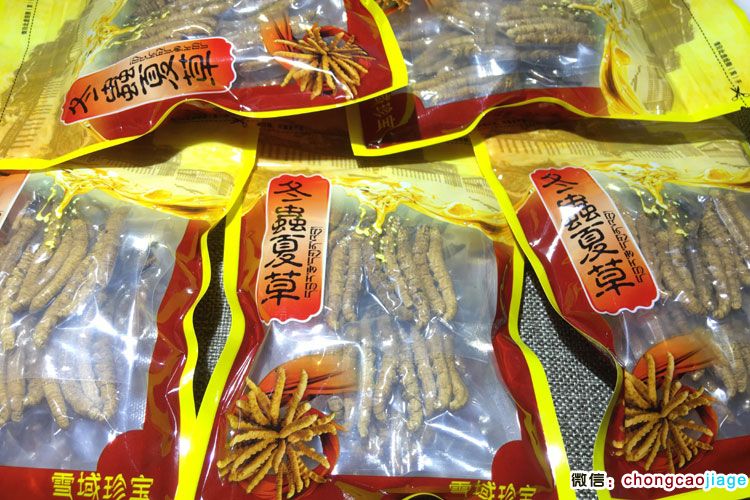 2條1克冬蟲夏草真空包裝 2條1克冬蟲夏草真空包裝