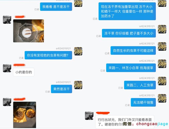 給客戶介紹凍干蟲草 給客戶介紹凍干蟲草