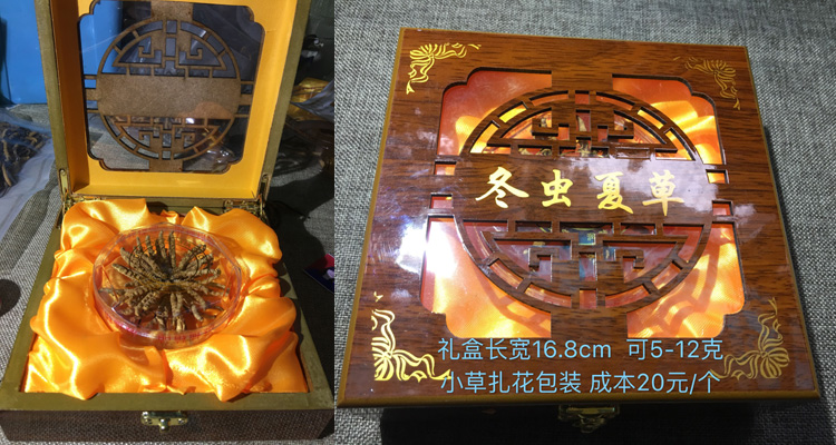 10克冬蟲(chóng)夏草禮盒裝圖片 10克冬蟲(chóng)夏草禮盒裝圖片