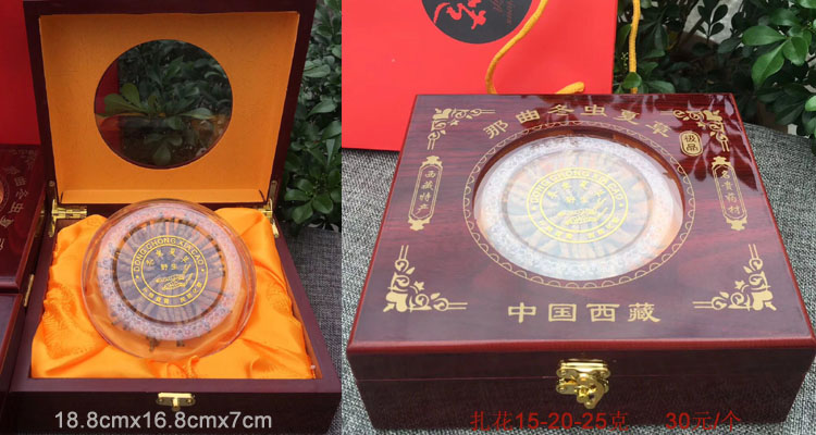 冬蟲夏草20克禮盒裝圖片