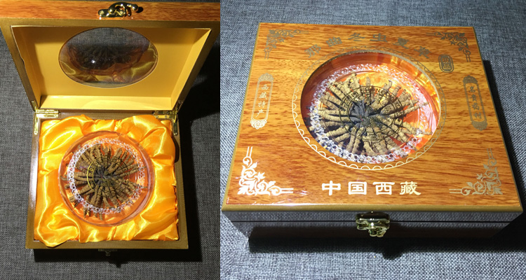 20克蟲(chóng)草禮盒圖片