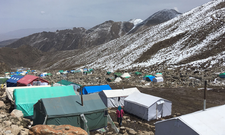 挖蟲草的營地圖片