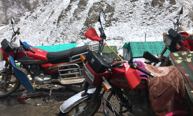 冬蟲夏草采集地常用交通工具