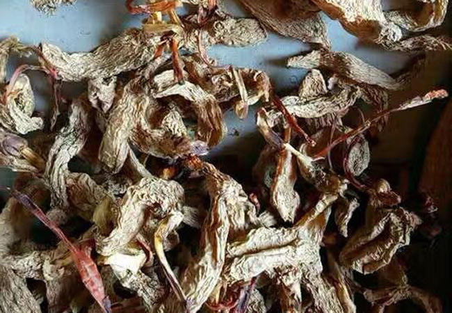 野生天麻干品圖片