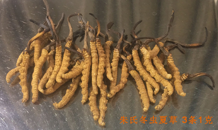10克冬蟲夏草有幾根圖片