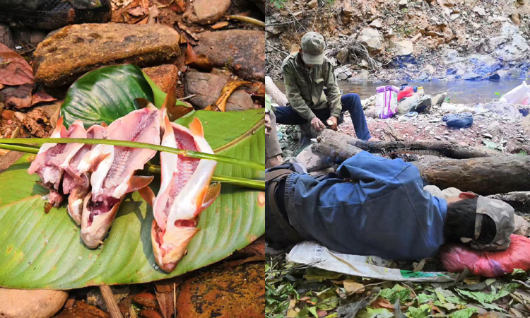 純天然蜂蜜取蜜團(tuán)隊(duì)