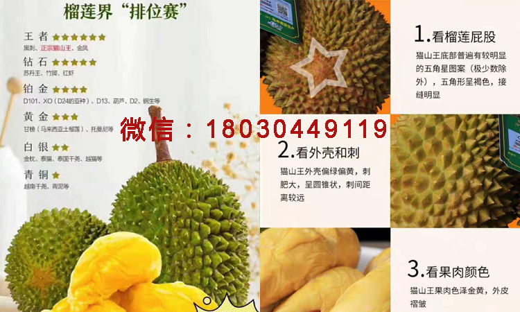 貓山王榴蓮鑒別方法 貓山王榴蓮鑒別方法