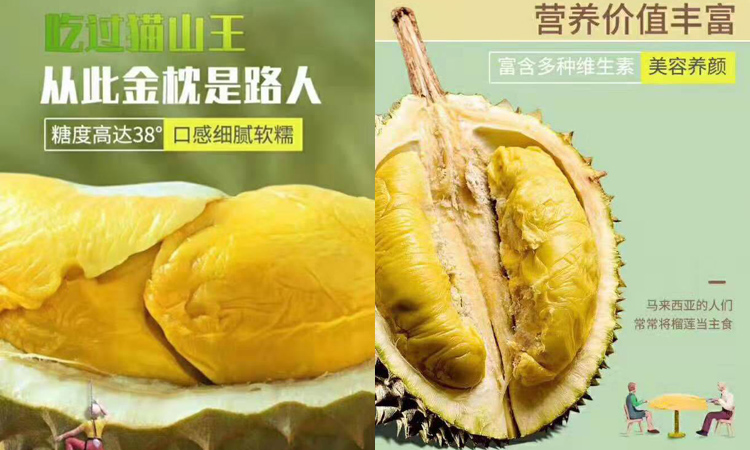 貓山王榴蓮營養價值 貓山王榴蓮營養價值