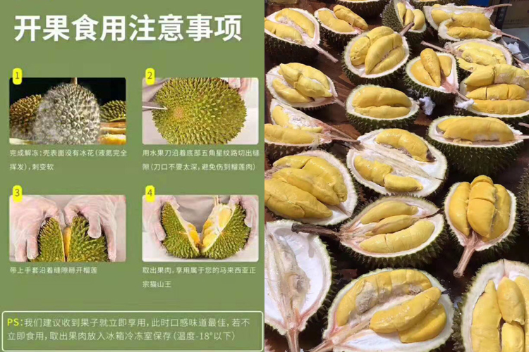 貓山王榴蓮怎么開圖文 貓山王榴蓮怎么開圖文