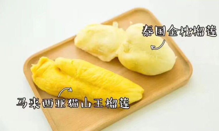 貓山王榴蓮和金枕榴蓮果肉區(qū)別圖片 貓山王榴蓮和金枕榴蓮果肉區(qū)別圖片