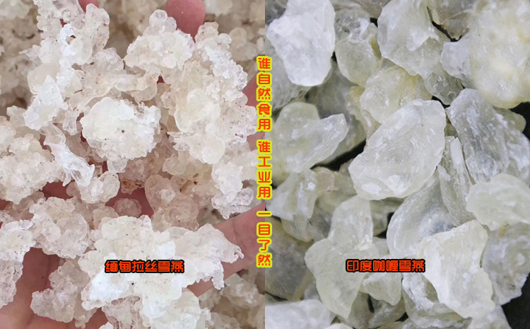 請輸入圖片描述 請輸入圖片描述