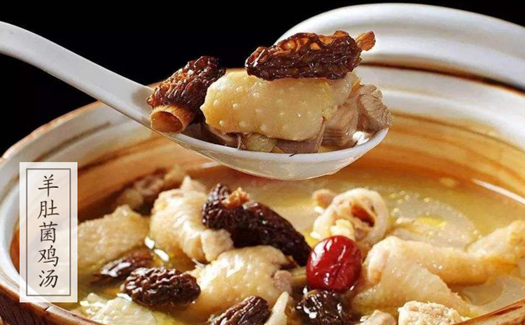 羊肚菌燉雞圖片 羊肚菌燉雞圖片