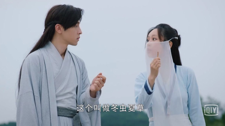 這個叫冬蟲夏草