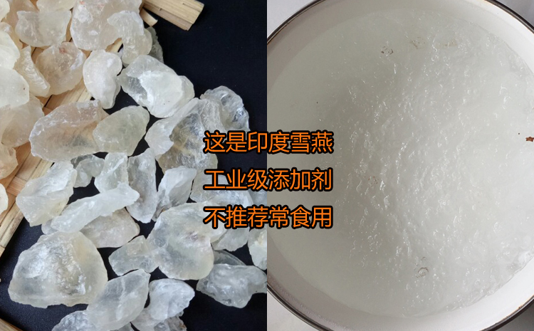 印度雪燕和印度雪燕泡發(fā)后的圖片 印度雪燕和印度雪燕泡發(fā)后的圖片