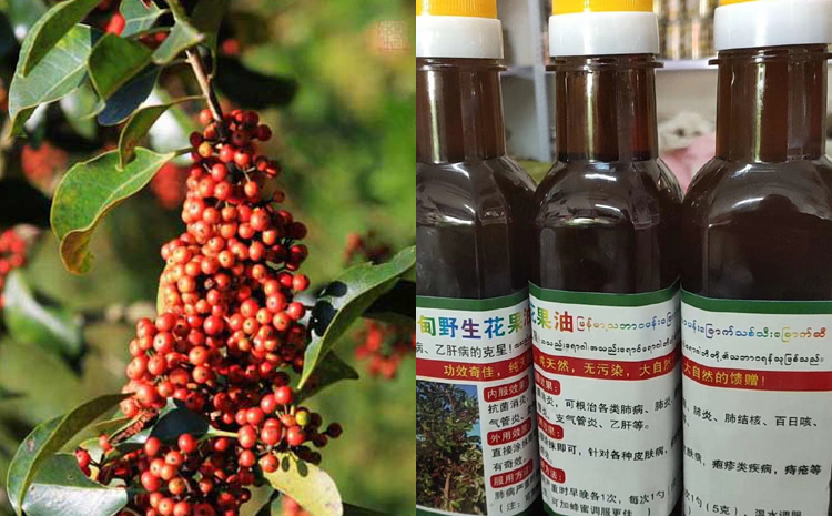 緬甸花果油圖片 緬甸花果油圖片