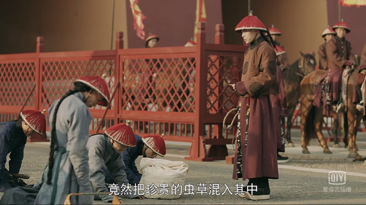 藥材中混入蟲草 藥材中混入蟲草