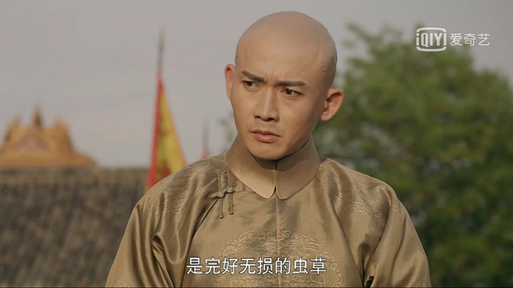 完好無損的蟲草 完好無損的蟲草