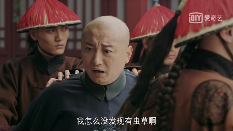 珍貴的蟲草 珍貴的蟲草