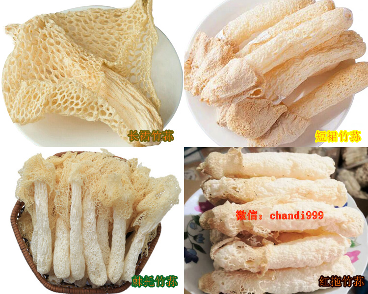 紅拖竹蓀和其它竹蓀的區別 紅拖竹蓀和其它竹蓀的區別